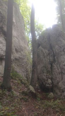 Zubowe Skały 2