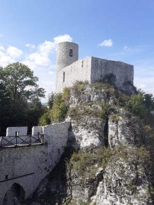 Zdjęcie 1