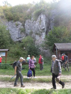 Zdjęcie 8