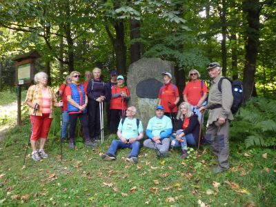 Zdjęcie 14