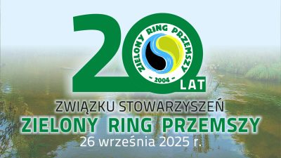 Logo jubileuszu