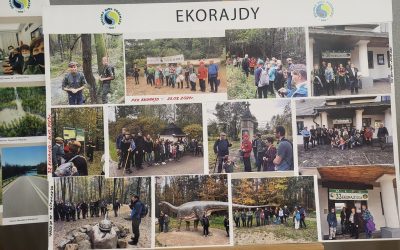 Ekorajdy