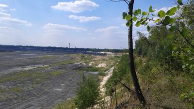 Wyrobisko piaskowe 2015 rok (1)