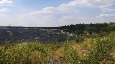 Wyrobisko piaskowe 2015 rok (2)