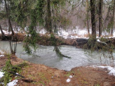 Sztoła