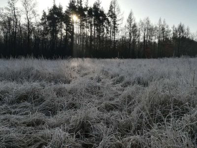 Urokliwie !!! Ale rano nie było żartów – temperatura -3 stop.C