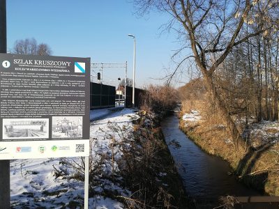 Zdjęcie 14
