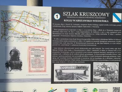 Zdjęcie 15