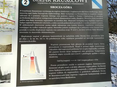 Zdjęcie 16