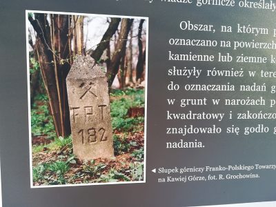 Zdjęcie 20